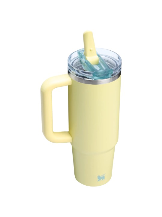 Termo Stanley Quencher Protour