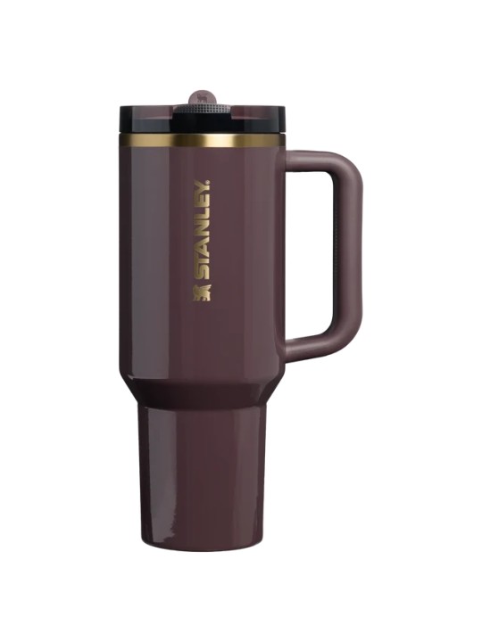 Termo Stanley Quencher Protour
